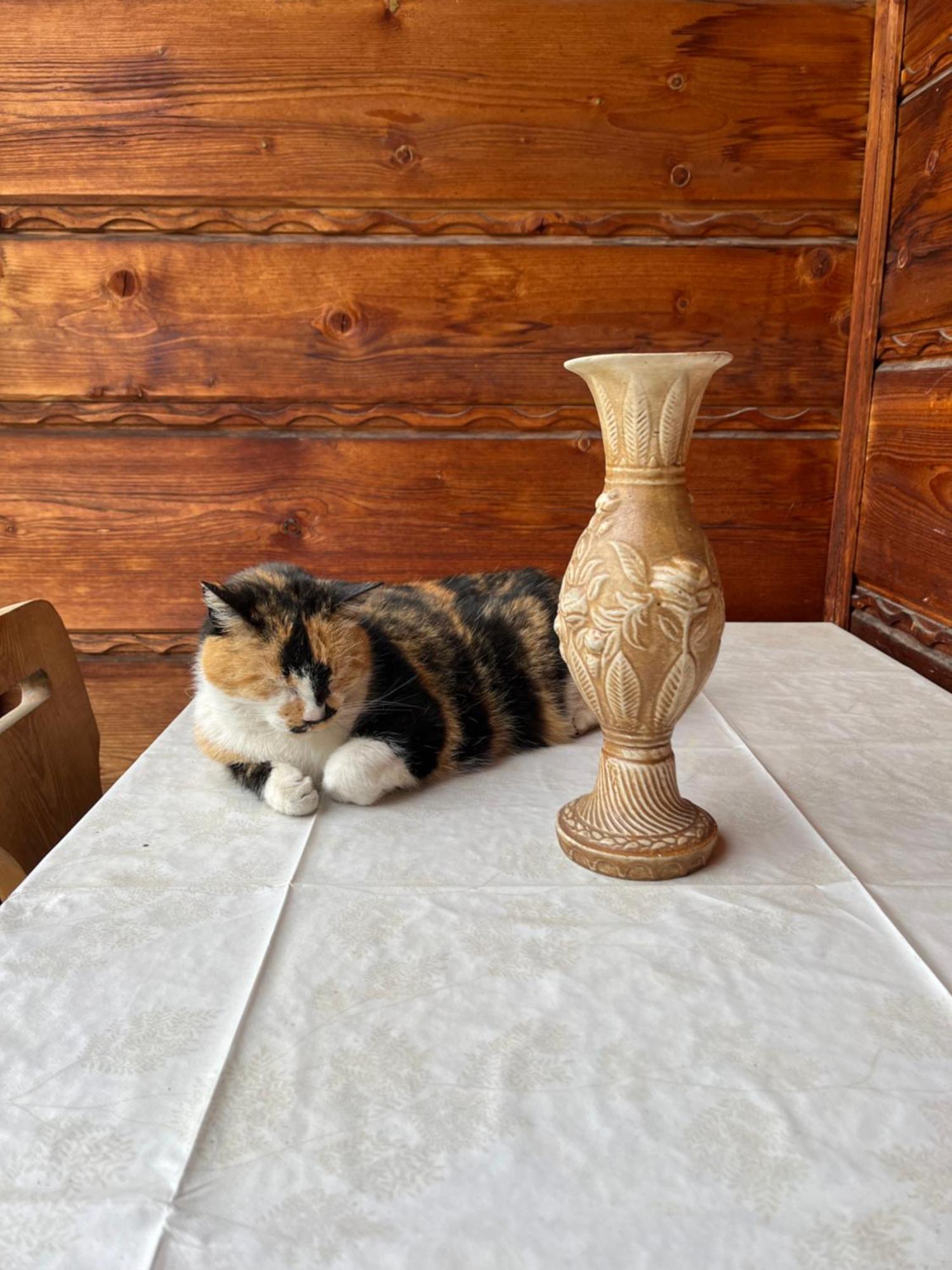 Willa Slotwinka Krynica Zdroj Bagian luar foto